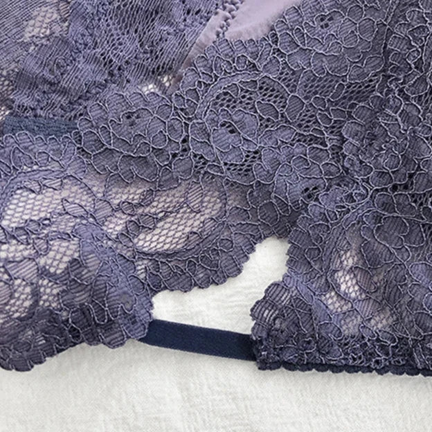 Sexy panties with lace inserts