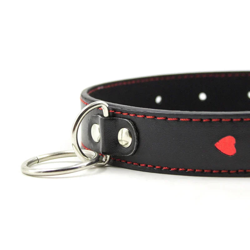 Collar with leash with adjustable length from 35 to 48 cm
