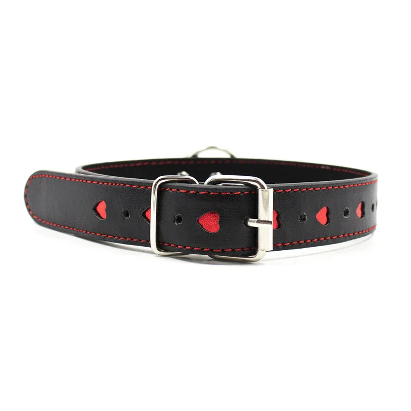Collar with leash with adjustable length from 35 to 48 cm