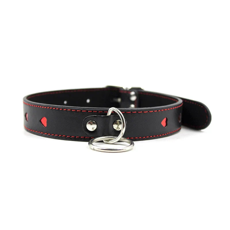 Collar with leash with adjustable length from 35 to 48 cm
